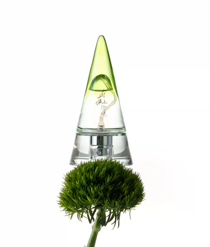 Fresh Green Eau de Parfum – Unisex Fragrance